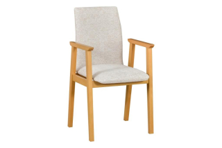 Jídelní židle Fotel 1